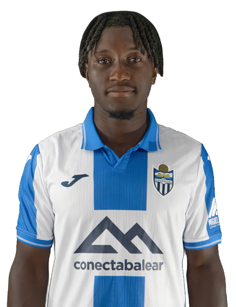 Mamadou Alpha Bah Diallo